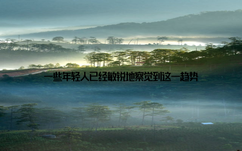 一些年轻人已经敏锐地察觉到这一趋势