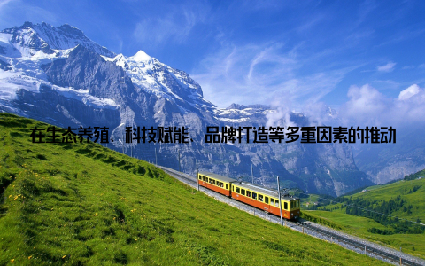在生态养殖、科技赋能、品牌打造等多重因素的推动下, 曾经的小龙虾产业已经从“野蛮生长”步入“高质量发展”阶段, 成为带动农民增收、促进城乡融合的重要力量