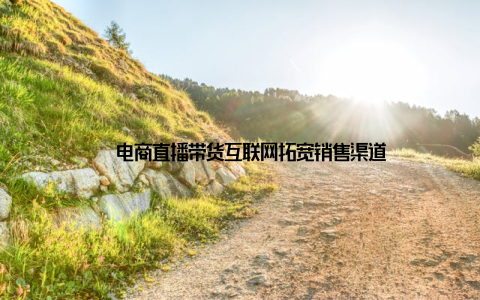 – 电商直播带货互联网拓宽销售渠道