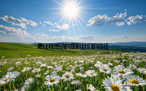 更让我感动的是粉丝们的信任