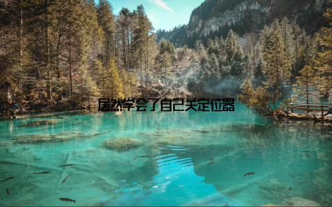 居然学会了自己关定位器