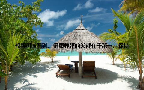 视频可以看到, 健康养殖的关键在于第一, 保持良好的水质环境; 第二, 提供营养均衡的饲料; 第三, 控制合理的养殖密度; 第四, 定期使用中草药或微生物制剂增强免疫力