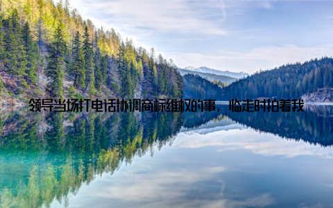 领导当场打电话协调商标维权的事, 临走时拍着我肩膀说林理事长, 你现在可是带着三百多户人家在深蓝牧场掘金啊! 这话让我想起父亲生前常说的一句渔谚一人驾船浪打浪, 众人扬帆能跨洋