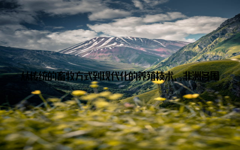 从传统的畜牧方式到现代化的养殖技术, 非洲各国正积极探索适合本国国情的发展道路, 为区域经济转型注入新的动力
