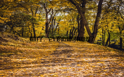 看好了, 它们的吃相可有意思了