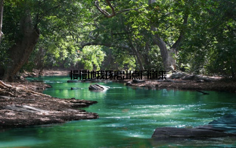 慢慢地我琢磨出点门道来