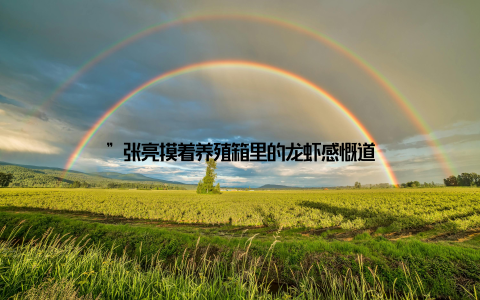 ”张亮摸着养殖箱里的龙虾感慨道