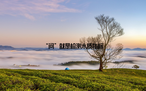“问”就是检测水质指标