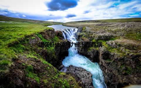 增强虾体免疫力来预防疾病