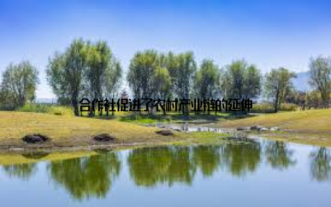 合作社促进了农村产业链的延伸