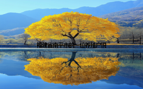 福建省南平市的一位养殖户说