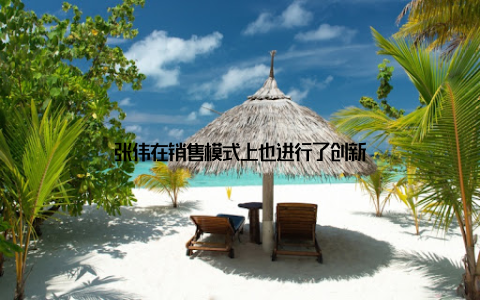 张伟在销售模式上也进行了创新