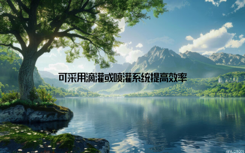 可采用滴灌或喷灌系统提高效率