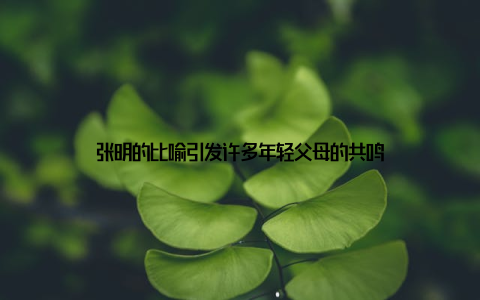张明的比喻引发许多年轻父母的共鸣