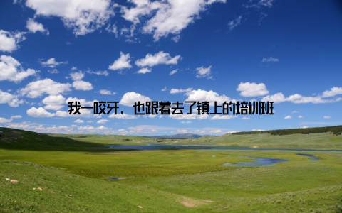 我一咬牙, 也跟着去了镇上的培训班