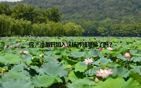 你, 准备好加入这场养殖革命了吗?