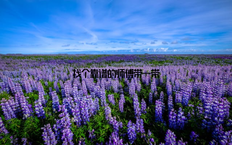 找个靠谱的师傅带一带