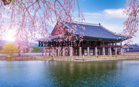 我当时就像抓住了救命稻草