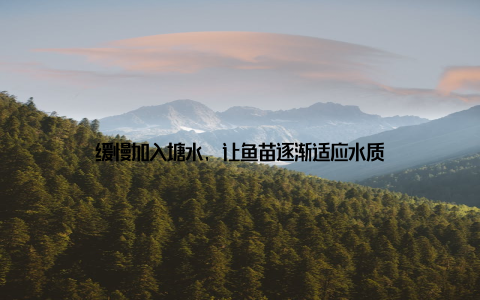 缓慢加入塘水, 让鱼苗逐渐适应水质