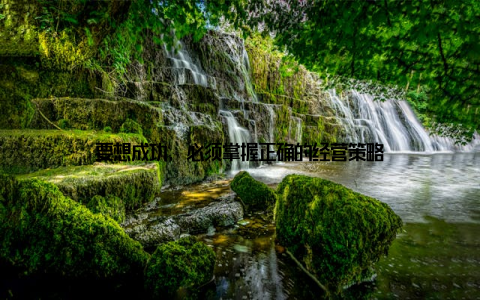 要想成功, 必须掌握正确的经营策略