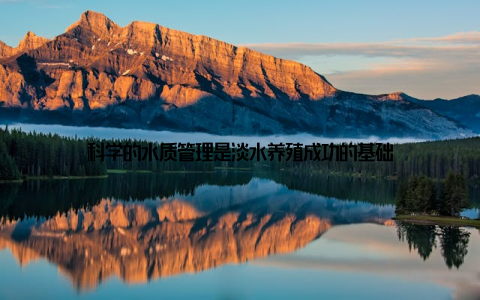 科学的水质管理是淡水养殖成功的基础