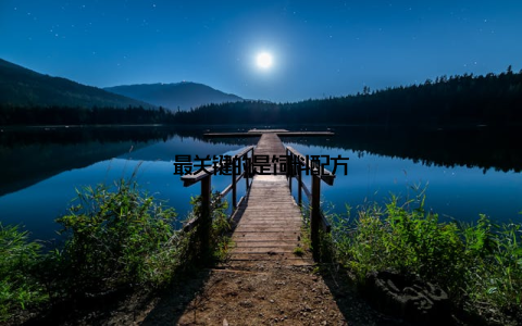 最关键的是饲料配方