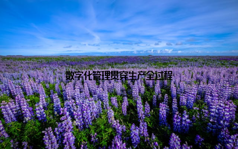 数字化管理贯穿生产全过程