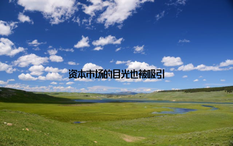 资本市场的目光也被吸引