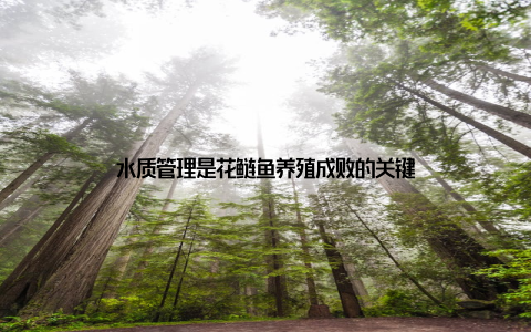 水质管理是花鲢鱼养殖成败的关键