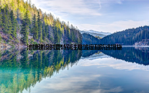 池塘建设时要特别注意坡度和防逃措施