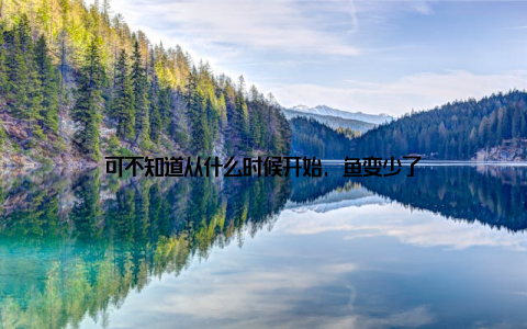 可不知道从什么时候开始, 鱼变少了