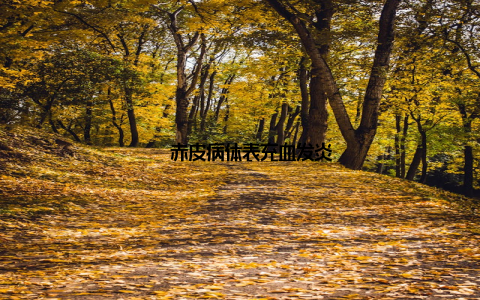 – 赤皮病体表充血发炎