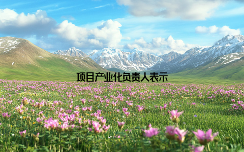 项目产业化负责人表示