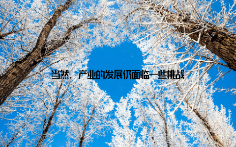 当然, 产业的发展仍面临一些挑战