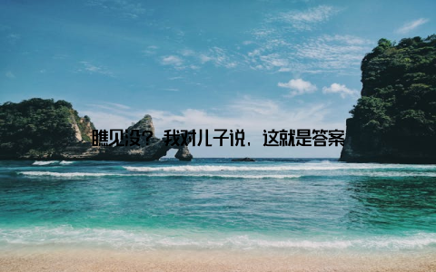 瞧见没? 我对儿子说, 这就是答案