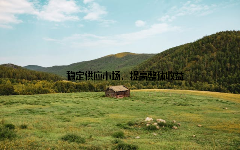 – 稳定供应市场, 提高整体收益