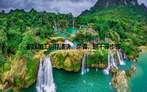 初级加工包括清洗、杀青、烘干等步骤