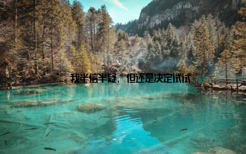 ” 我半信半疑, 但还是决定试试