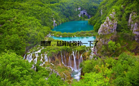 嘿嘿, 总算能弥补一下了