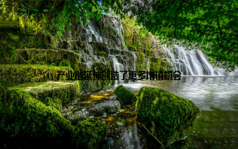 产业链延伸创造了更多增值机会