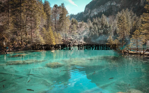 山瑞鳖肉质更佳, 但饲养难度略高