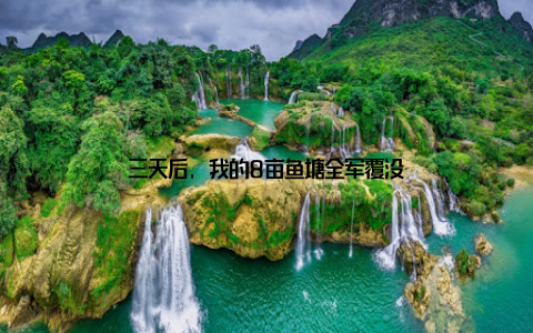 三天后, 我的8亩鱼塘全军覆没