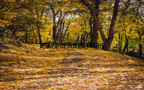 更痛心的是消费者的不信任