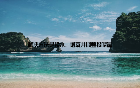 解决方法是换水、增氧并调整投喂量