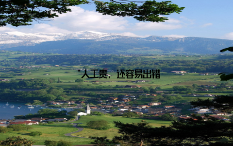 “人工贵, 还容易出错