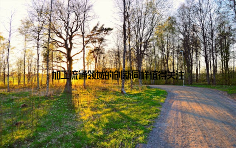 加工流通领域的创新同样值得关注