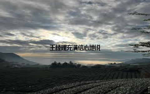 王经理充满信心地说