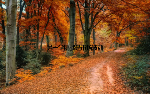 另一个挑战是市场波动