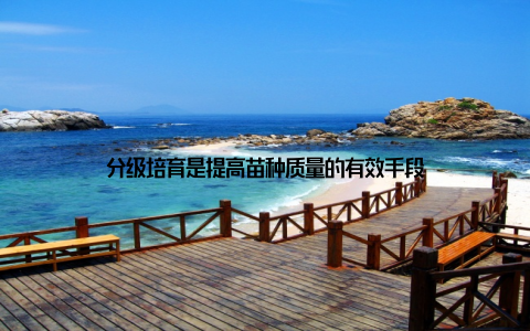 分级培育是提高苗种质量的有效手段