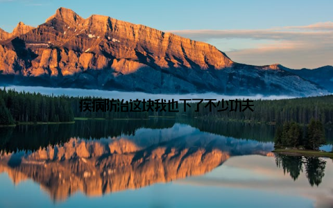 疾病防治这块我也下了不少功夫